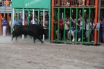Toros por la tarde y cadereta para 1.200 vecinos por la noche