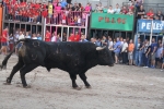 Toros por la tarde y cadereta para 1.200 vecinos por la noche