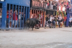 Toros por la tarde y cadereta para 1.200 vecinos por la noche