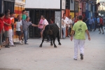 Toros por la tarde y cadereta para 1.200 vecinos por la noche