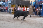 Toros por la tarde y cadereta para 1.200 vecinos por la noche