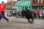 Toros por la tarde y cadereta para 1.200 vecinos por la noche