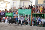 Toros por la tarde y cadereta para 1.200 vecinos por la noche