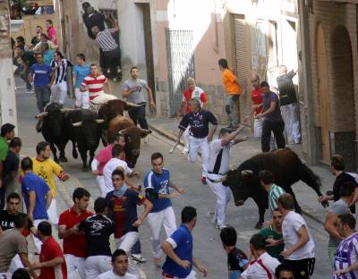 Fotografia /Galeria/2013/10/94367_50215/2_M1.jpg