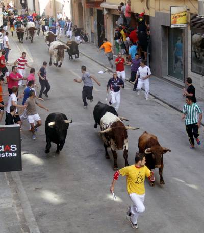 Fotografia /Galeria/2013/10/94367_50215/3_M1.jpg