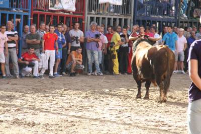 Fotografia /Galeria/2013/10/94367_50215/4_M1.jpg