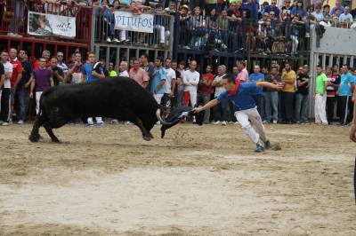 Los toros de Gabriel Rojas corren rpido y conjuntados para cerrar el captulo de encierros de la Fira d'Onda