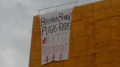 Denuncian plagas de ratas, cucarachas y pulgas en solares insalubres de Burriana