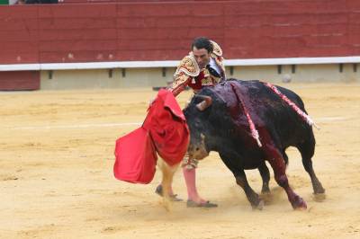 Fotografia /Galeria/2013/3/81215_43433/2_M1.jpg