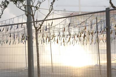 Fotografia /Galeria/2013/3/81345_43497/5_M1.jpg