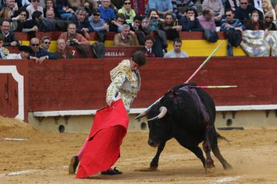 Fotografia /Galeria/2013/3/81347_43500/3_M1.jpg