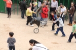 Las fiestas de Sant Vicent celebran el encierro infantil