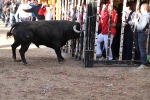 La Llosa cierra las exhibiciones taurinas sin incidentes
