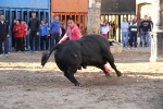La Llosa cierra las exhibiciones taurinas sin incidentes