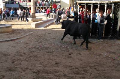 Fotografia /Galeria/2013/4/82814_44318/3_M1.jpg