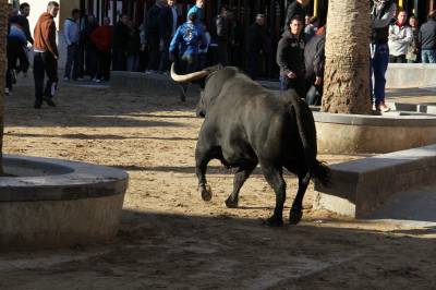 Fotografia /Galeria/2013/4/82814_44318/5_M1.jpg