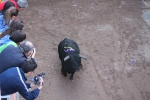 Toros en las calles Zeneta y Xilxes de la Vall d'Uixó