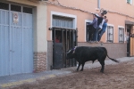 Toros en las calles Zeneta y Xilxes de la Vall d'Uixó