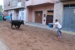 Toros en las calles Zeneta y Xilxes de la Vall d'Uixó