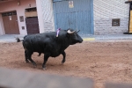 Toros en las calles Zeneta y Xilxes de la Vall d'Uixó