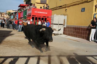 Fotografia /Galeria/2013/4/83145_44489/4_M1.jpg