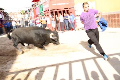 Fotografia /Galeria/2013/4/83145_44489/5_M1.jpg