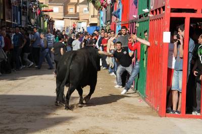 Fotografia /Galeria/2013/4/83145_44489/6_M1.jpg