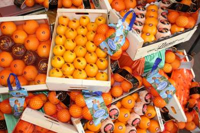 Fotografia /Galeria/2013/5/84532_45281/3_M1.jpg