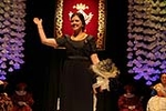 Lorena Traver ya es la nueva reina de las fiestas de Vila-real 2013