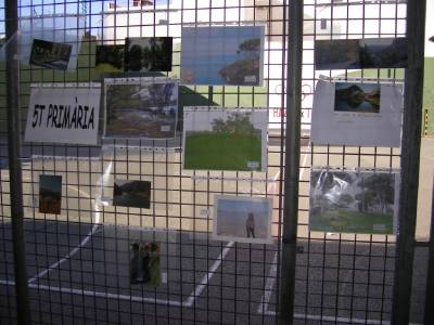 Fotografia /Galeria/2013/5/84600_45322/5_M1.jpg