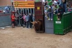 Arrancan las exhibiciones taurinas de las fiestas de Sant Pasqual 2013