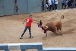 Arrancan las exhibiciones taurinas de las fiestas de Sant Pasqual 2013