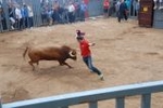 Arrancan las exhibiciones taurinas de las fiestas de Sant Pasqual 2013