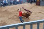 Arrancan las exhibiciones taurinas de las fiestas de Sant Pasqual 2013
