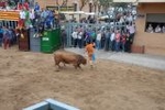 Arrancan las exhibiciones taurinas de las fiestas de Sant Pasqual 2013