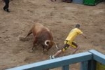 Arrancan las exhibiciones taurinas de las fiestas de Sant Pasqual 2013