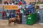 Arrancan las exhibiciones taurinas de las fiestas de Sant Pasqual 2013