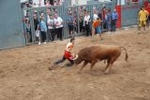 Arrancan las exhibiciones taurinas de las fiestas de Sant Pasqual 2013