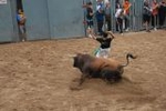 Arrancan las exhibiciones taurinas de las fiestas de Sant Pasqual 2013