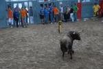 Arrancan las exhibiciones taurinas de las fiestas de Sant Pasqual 2013