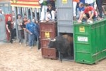 Arrancan las exhibiciones taurinas de las fiestas de Sant Pasqual 2013