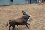 Arrancan las exhibiciones taurinas de las fiestas de Sant Pasqual 2013