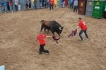 Arrancan las exhibiciones taurinas de las fiestas de Sant Pasqual 2013