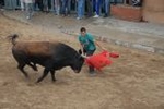 Arrancan las exhibiciones taurinas de las fiestas de Sant Pasqual 2013