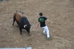 Arrancan las exhibiciones taurinas de las fiestas de Sant Pasqual 2013