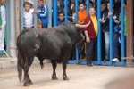 Herido leve un vecino de Artana en el Bou per la Vila del miércoles