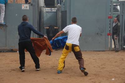 Fotografia /Galeria/2013/5/85101_45614/2_M1.jpg