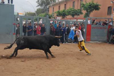 Fotografia /Galeria/2013/5/85101_45614/3_M1.jpg