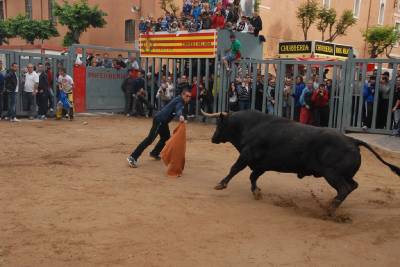 Fotografia /Galeria/2013/5/85101_45614/4_M1.jpg