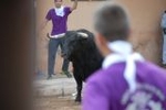 Vila-real exhibe toros de Domecq y Torrealta